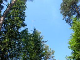 Wykus 2012r jedna z anten